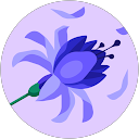 Zuraini Ajamain profile picture